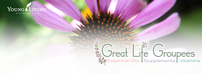 Great Life Groupees Facebook Cover Great Life Groupees Facebook Cover
