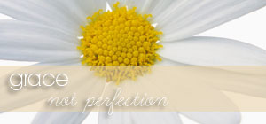grace ... not perfection graphic grace ... not perfection graphic
