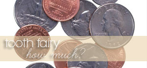 Tooth Fairy ... how much? Graphic Tooth Fairy ... how much? Graphic